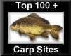top100carpsites-8411948